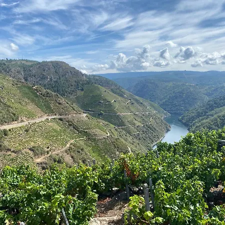 Cardenal Monforte Διαμέρισμα *